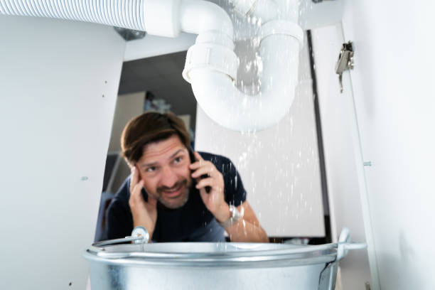 Best Affordable Plumbing Services  in Las Vegas, NV