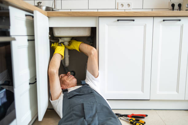 Best Local Plumber Services  in Las Vegas, NV